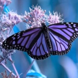 Meet your Posher, Cathy